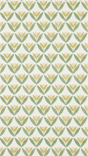 Tapeta kwiaty - tulipany Scion 113256 Tulip Trellis Oakham