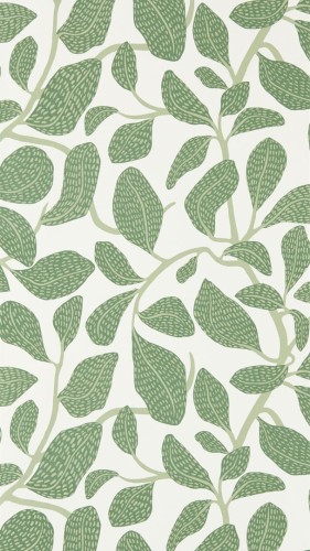 Tapeta liście Scion 113268 Sweet Bay Oakham