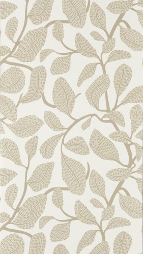 Tapeta liście Scion 113270 Sweet Bay Oakham