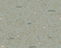 Tapeta spiralne linie J&V 25604 Stoclet Academy A Tribute to Gustav Klimt