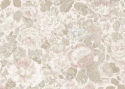 Tapeta florystyczna - róże J&V 7220 Grande Rose 505 Grande Corniche