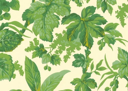 Tapeta tropikalne liście J&V 7277 Tropical 505 Grande Corniche