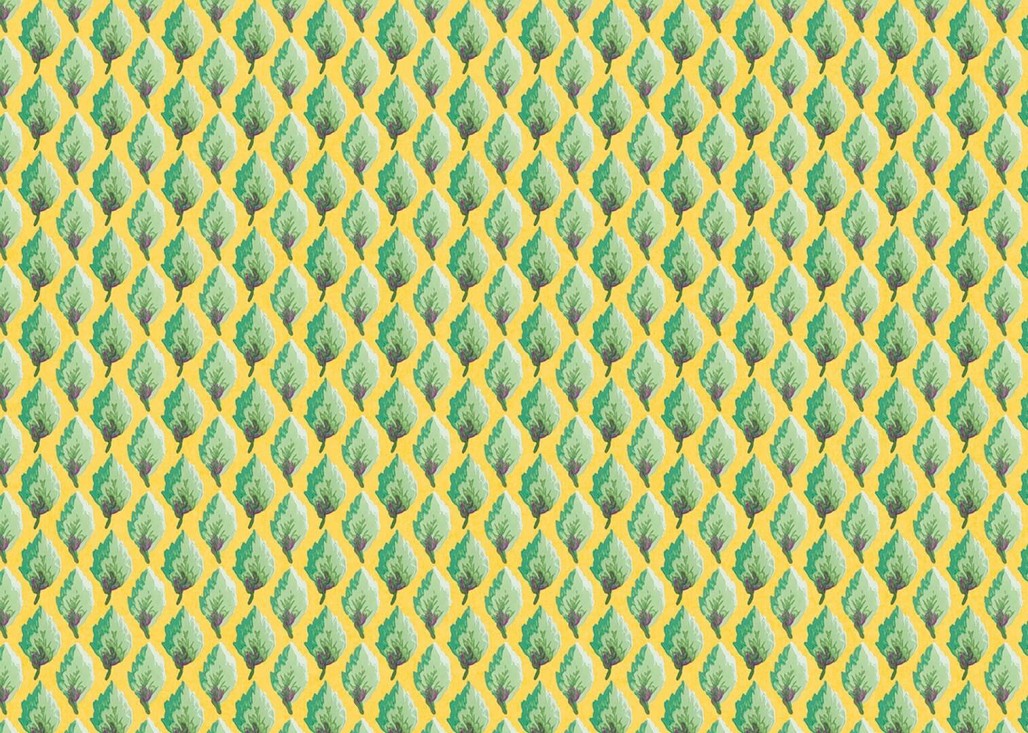 b6ff7f5655fa738c858359cd33e57b0e
