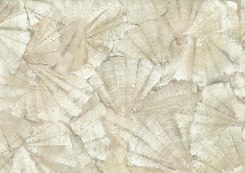 Tapeta odciśnięte muszle J&V 7650 Teti 104 Lithos