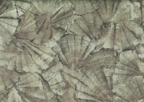 Tapeta odciśnięte muszle – metaliczna J&V 7651 Teti 104 Lithos