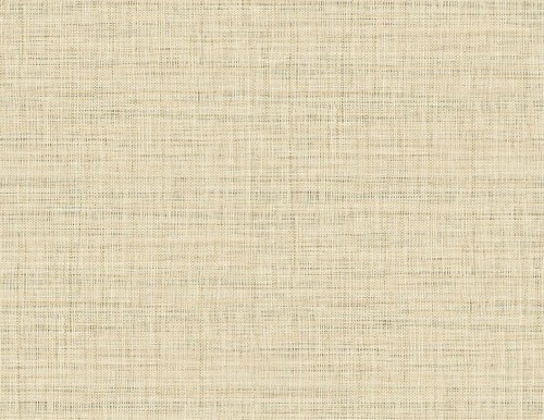 Tapeta imitująca płótno Wallquest RA40107 Raffia