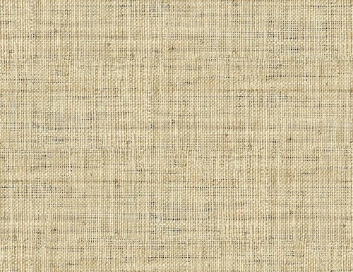 Tapeta imitująca naturalne płótno Wallquest RA40315 Raffia