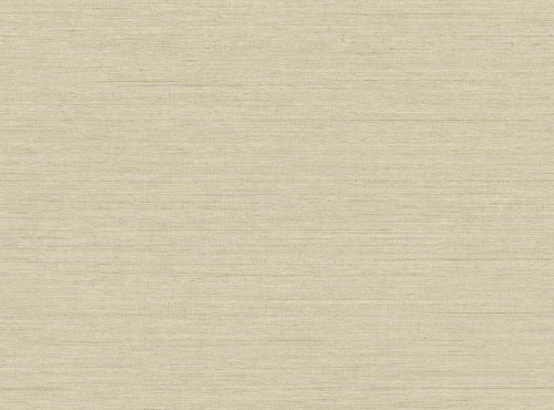 Tapeta płótno Wallquest RA40910 Raffia