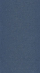 ! PROMO ! Tapeta jak lniane płótno Caselio LNE 103236032 Uni Metallise/Irise Linen Edition - na stanie 2 rolki