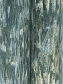 Tapeta w pióra abstrakcyjna York Wallcoverings FM1001 Gilded Plume Formations