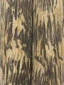 Tapeta w pióra abstrakcyjna York Wallcoverings FM1004 Gilded Plume Formations