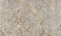 Fototapeta liście Inkiostro Bianco ADIANTUM CALCE INKRDEM2601 Materiaprima