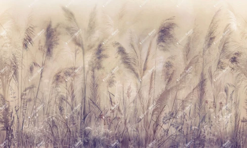 Fototapeta kłosy zboża Inkiostro Bianco RONDA CORDA INKAMRM2605 Materiaprima