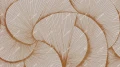Fototapeta graficzna kompozycja linii Inkiostro Bianco ZEPHYR OCRA NATURAL INKSZYE2602 Materiaprima