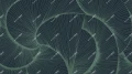 Fototapeta graficzna kompozycja linii Inkiostro Bianco ZEPHYR TEAL INKSZYE2604 Materiaprima
