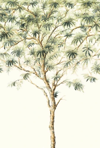 Mural drzewo Wallquest TR71504M Trees