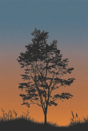 Mural krajobraz drzew Wallquest TR71905M Trees