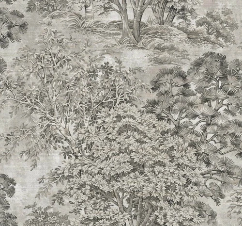 Tapeta naturalna drzewa Wallquest TR72008 Trees