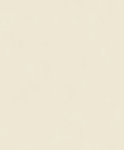 Tapeta imitująca tynk Caselio MIP 106080000 Uni La Chaux Mix & Stripes