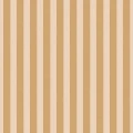 Tapeta paski Caselio MIP 107764028 Bold Line Mix & Stripes