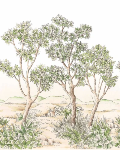 Mural drzewa sawanny Casadeco 202217605NW S Terre D'acacias Wonderwalls 3