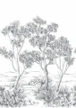 Mural drzewa sawanny Casadeco 202219003NW M Terre D'acacias Wonderwalls 3