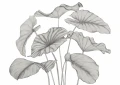 Mural egzotyczne liście Casadeco 202229240NW S Alocasia Wonderwalls 3