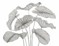 Mural egzotyczne liście Casadeco 202229241NW M Alocasia Wonderwalls 3