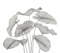 Mural egzotyczne liście Casadeco 202229242NW L Alocasia Wonderwalls 3
