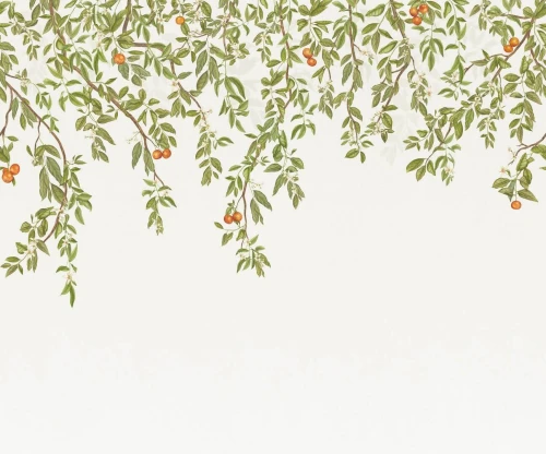 Mural botaniczny - owoce i liście Casadeco 202257307V S Douceur D'agrumes Wonderwalls 3