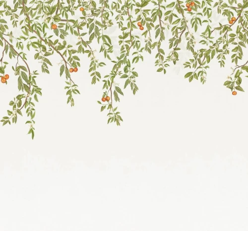 Mural botaniczny - owoce i liście Casadeco 202257308V M Douceur D'agrumes Wonderwalls 3