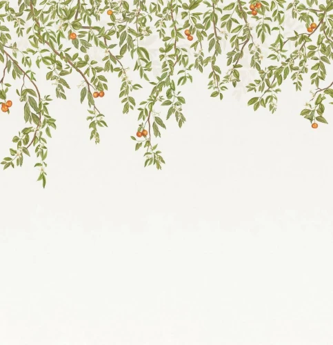 Mural botaniczny - owoce i liście Casadeco 202257309V L Douceur D'agrumes Wonderwalls 3
