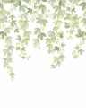 Mural zwisające gałęzie liści Casadeco 202317905V S Fruit Du Houblon Wonderwalls 3