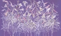 Fototapeta kwiaty Wonderwall Flourish 35034907