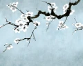 Fototapeta gałęzie kwitnącej wiśni Rebel Walls R21314 Blush of Spring Blue Sophisticated Luxe