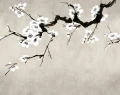 Fototapeta gałęzie kwitnącej wiśni Rebel Walls R21318 Blush of Spring White Sophisticated Luxe