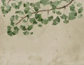 Fototapeta liście miłorzębu Rebel Walls R21344 Maidenhair Tree Green Sophisticated Luxe