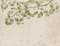 Fototapeta liście miłorzębu Rebel Walls R21345 Maidenhair Tree Light Green Sophisticated Luxe