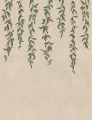Fototapeta opadające pnącza Rebel Walls R21658 Hanging Leaves Beige Botanical Gardens