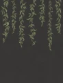 Fototapeta opadające pnącza Rebel Walls R21660 Hanging Leaves Graphite Botanical Gardens