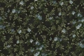 Fototapeta kwiatowe pnącza Rebel Walls R21663 Wildflower Vista Black Botanical Gardens