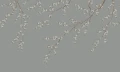 Fototapeta kwitnące gałązki Rebel Walls R21730 Spring Breeze Green Diane Hill