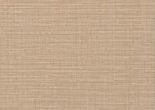 Tapeta płótno J&V 1057 Igapo Amazzonia