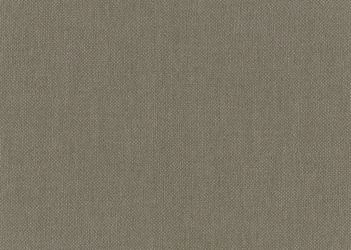 Tapeta płótno J&V 6553 Baobab Amazzonia