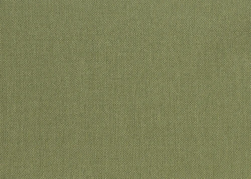 Tapeta płótno J&V 6555 Baobab Amazzonia