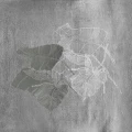 Fototapeta liście Wall&Deco WET_BI1902 WET SYSTEM 2019
