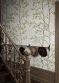 Fototapeta pnące gałęzie Sandberg S10658 Laura Green Villa Como