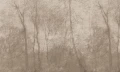 Fototapeta zamglony las Foggy Beige Wall Art