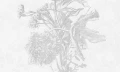 Fototapeta szkicowane kwiaty Light Flower Wall Art