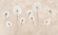 Fototapeta dmuchawce Soffio Wall Art